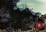 Standbild amerikanischen Marines Saipan Nördliche Marianen, 1944, aus Sekunde 25 historischem Filmmaterial Videoclip 65675050856
