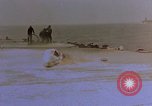 Image of F6F Hellcat aircraft on fire Pacific Ocean, 1945, second 30 stock footage video 65675050861