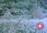 Standbild 4th Marine Division Insel Tinian Marianen, 1944, aus Sekunde 5 historischem Filmmaterial Videoclip 65675050863
