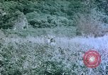 Standbild 4th Marine Division Insel Tinian Marianen, 1944, aus Sekunde 6 historischem Filmmaterial Videoclip 65675050863