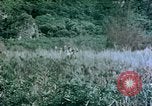 Standbild 4th Marine Division Insel Tinian Marianen, 1944, aus Sekunde 7 historischem Filmmaterial Videoclip 65675050863