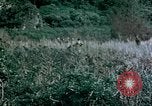Standbild 4th Marine Division Insel Tinian Marianen, 1944, aus Sekunde 9 historischem Filmmaterial Videoclip 65675050863