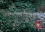Standbild 4th Marine Division Insel Tinian Marianen, 1944, aus Sekunde 10 historischem Filmmaterial Videoclip 65675050863