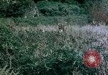 Standbild 4th Marine Division Insel Tinian Marianen, 1944, aus Sekunde 12 historischem Filmmaterial Videoclip 65675050863