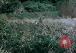 Standbild 4th Marine Division Insel Tinian Marianen, 1944, aus Sekunde 13 historischem Filmmaterial Videoclip 65675050863
