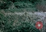Standbild 4th Marine Division Insel Tinian Marianen, 1944, aus Sekunde 14 historischem Filmmaterial Videoclip 65675050863