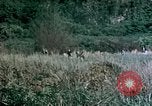 Standbild 4th Marine Division Insel Tinian Marianen, 1944, aus Sekunde 18 historischem Filmmaterial Videoclip 65675050863