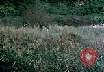 Standbild 4th Marine Division Insel Tinian Marianen, 1944, aus Sekunde 19 historischem Filmmaterial Videoclip 65675050863