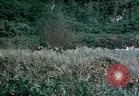 Standbild 4th Marine Division Insel Tinian Marianen, 1944, aus Sekunde 21 historischem Filmmaterial Videoclip 65675050863