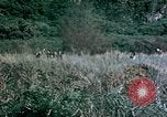 Standbild 4th Marine Division Insel Tinian Marianen, 1944, aus Sekunde 26 historischem Filmmaterial Videoclip 65675050863