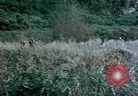 Standbild 4th Marine Division Insel Tinian Marianen, 1944, aus Sekunde 28 historischem Filmmaterial Videoclip 65675050863