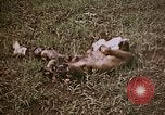 Image of atrocity victims Tinian Island Mariana Islands, 1944, second 4 stock footage video 65675050864