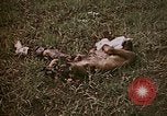 Image of atrocity victims Tinian Island Mariana Islands, 1944, second 7 stock footage video 65675050864