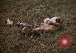 Image of atrocity victims Tinian Island Mariana Islands, 1944, second 10 stock footage video 65675050864