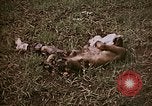 Image of atrocity victims Tinian Island Mariana Islands, 1944, second 11 stock footage video 65675050864