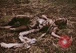 Image of atrocity victims Tinian Island Mariana Islands, 1944, second 14 stock footage video 65675050864