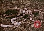 Image of atrocity victims Tinian Island Mariana Islands, 1944, second 15 stock footage video 65675050864