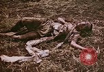 Image of atrocity victims Tinian Island Mariana Islands, 1944, second 16 stock footage video 65675050864