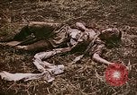 Image of atrocity victims Tinian Island Mariana Islands, 1944, second 17 stock footage video 65675050864