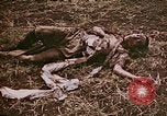 Image of atrocity victims Tinian Island Mariana Islands, 1944, second 18 stock footage video 65675050864