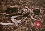 Image of atrocity victims Tinian Island Mariana Islands, 1944, second 19 stock footage video 65675050864
