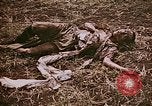 Image of atrocity victims Tinian Island Mariana Islands, 1944, second 20 stock footage video 65675050864