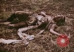 Image of atrocity victims Tinian Island Mariana Islands, 1944, second 21 stock footage video 65675050864