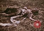 Image of atrocity victims Tinian Island Mariana Islands, 1944, second 23 stock footage video 65675050864