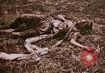 Image of atrocity victims Tinian Island Mariana Islands, 1944, second 24 stock footage video 65675050864