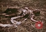 Image of atrocity victims Tinian Island Mariana Islands, 1944, second 25 stock footage video 65675050864