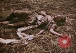 Image of atrocity victims Tinian Island Mariana Islands, 1944, second 26 stock footage video 65675050864
