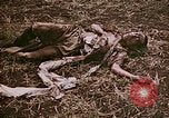Image of atrocity victims Tinian Island Mariana Islands, 1944, second 27 stock footage video 65675050864
