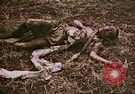 Image of atrocity victims Tinian Island Mariana Islands, 1944, second 28 stock footage video 65675050864