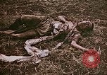 Image of atrocity victims Tinian Island Mariana Islands, 1944, second 29 stock footage video 65675050864
