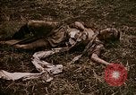 Image of atrocity victims Tinian Island Mariana Islands, 1944, second 30 stock footage video 65675050864