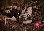 Image of atrocity victims Tinian Island Mariana Islands, 1944, second 40 stock footage video 65675050864