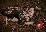 Image of atrocity victims Tinian Island Mariana Islands, 1944, second 43 stock footage video 65675050864