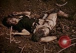 Image of atrocity victims Tinian Island Mariana Islands, 1944, second 45 stock footage video 65675050864