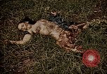 Image of atrocity victims Tinian Island Mariana Islands, 1944, second 52 stock footage video 65675050864