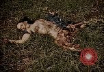 Image of atrocity victims Tinian Island Mariana Islands, 1944, second 53 stock footage video 65675050864