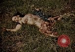 Image of atrocity victims Tinian Island Mariana Islands, 1944, second 54 stock footage video 65675050864
