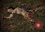Image of atrocity victims Tinian Island Mariana Islands, 1944, second 55 stock footage video 65675050864