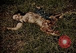 Image of atrocity victims Tinian Island Mariana Islands, 1944, second 56 stock footage video 65675050864