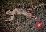 Image of atrocity victims Tinian Island Mariana Islands, 1944, second 57 stock footage video 65675050864