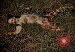 Image of atrocity victims Tinian Island Mariana Islands, 1944, second 58 stock footage video 65675050864