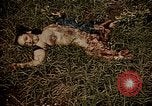 Image of atrocity victims Tinian Island Mariana Islands, 1944, second 59 stock footage video 65675050864