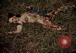 Image of atrocity victims Tinian Island Mariana Islands, 1944, second 60 stock footage video 65675050864
