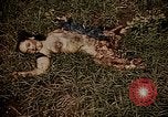 Image of atrocity victims Tinian Island Mariana Islands, 1944, second 62 stock footage video 65675050864