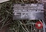 Image of atrocity victims Tinian Island Mariana Islands, 1944, second 1 stock footage video 65675050865