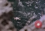 Image of atrocity victims Tinian Island Mariana Islands, 1944, second 7 stock footage video 65675050865